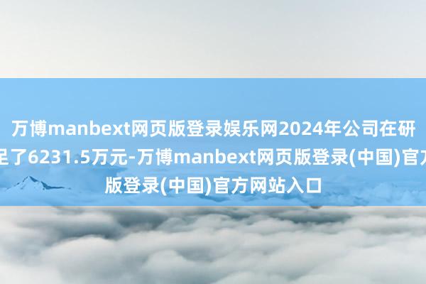 万博manbext网页版登录娱乐网2024年公司在研发方面插足了6231.5万元-万博manbext网页版登录(中国)官方网站入口